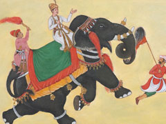 elephant